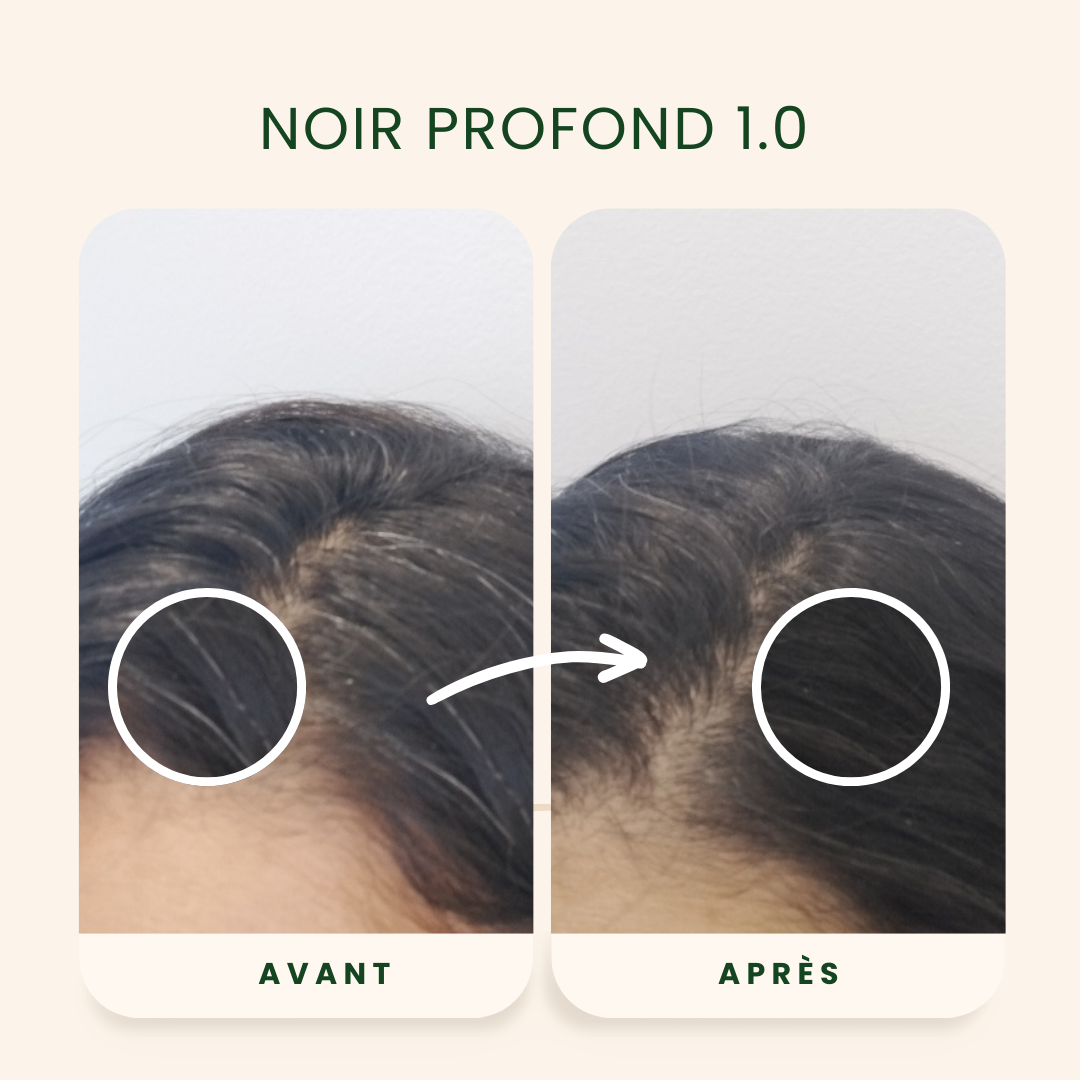 EMBLICA - Coloration végétale “1.0 Noir Profond”, 100 g